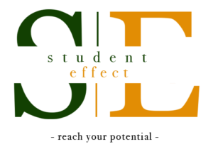 Logo Student effect